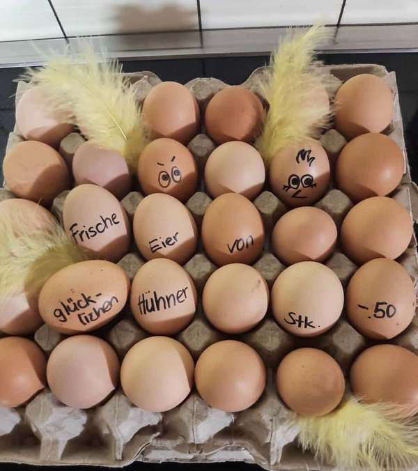 10 Eier